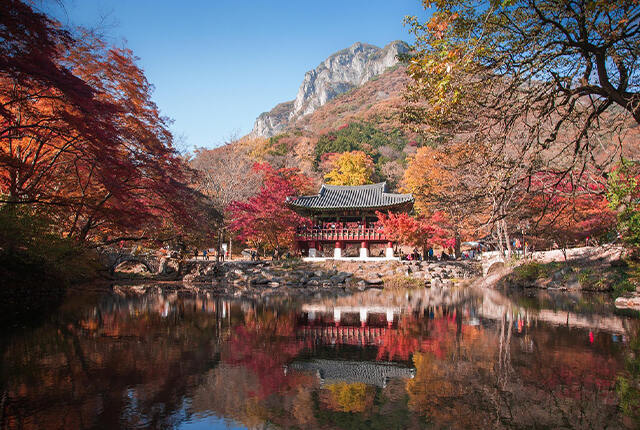 SouthKorea.jpg